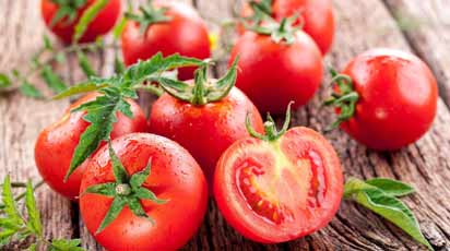 Как пасынковать томаты