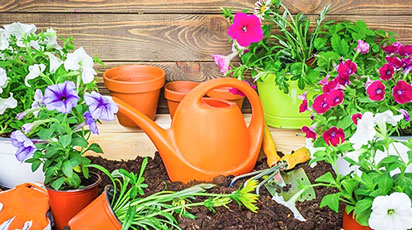 Дачний сезон 2021 - ідеальна підготовка. Садимо насіння на розсаду - GradinaMax Дачний сезон 2021 - ідеальна підготовка. Садимо насіння на розсаду