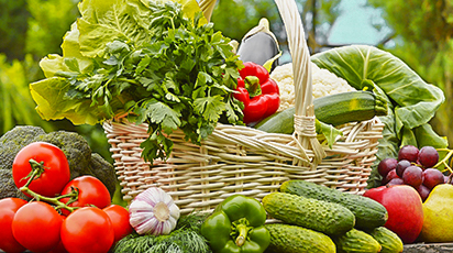 Як правильно зберігати й переробляти врожай - GradinaMax Як правильно зберігати й переробляти врожай