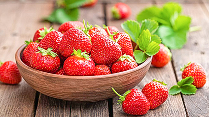 Секреты выращивания ремонтантной земляники