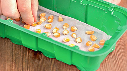 Обробка насіння перед посівом, або як отримати хороший урожай? - GradinaMax Обробка насіння перед посівом, або як отримати хороший урожай?