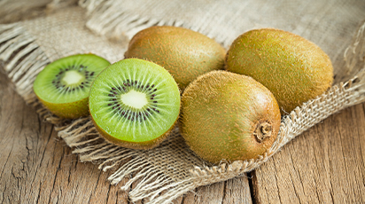 Актинидия - правильная посадка чудо-ягоды