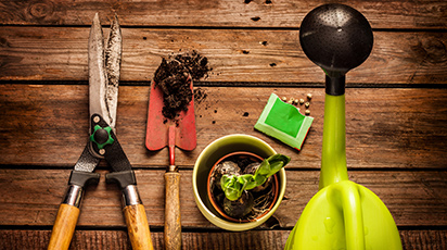 Чому експерти рекомендують осінню посадку? - GradinaMax Чому експерти рекомендують осінню посадку?