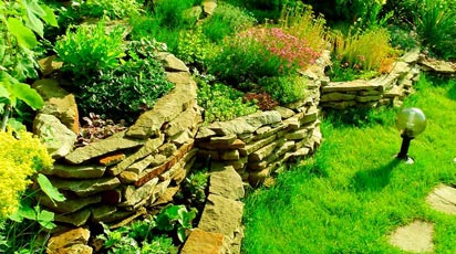 Рослини для альпійської гірки: правильний вибір