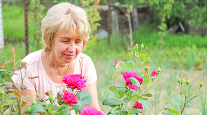 Садове королівство: в гостях у покупця Світлани Грицак