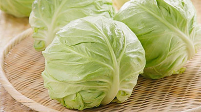 Секреты выращивания здоровой рассады белокочанной капусты - GradinaMax Секреты выращивания здоровой рассады белокочанной капусты