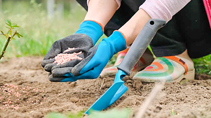 Підживлення культур в серпні, шпаргалка для дачника - GradinaMax Підживлення культур в серпні, шпаргалка для дачника