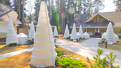 Як вкрити на зиму хвойні дерева правильно! - GradinaMax Як вкрити на зиму хвойні дерева правильно!