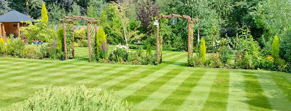 Газон навесні - агротехнічні прийоми, підгодівля і полив - GradinaMax Газон навесні - агротехнічні прийоми, підгодівля і полив