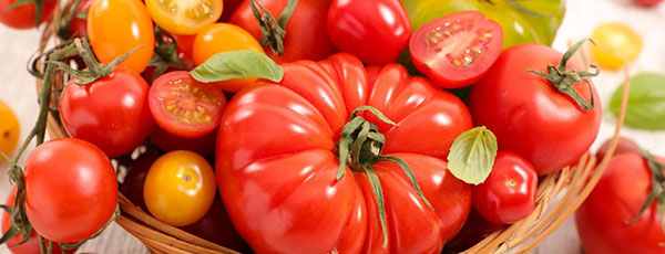 Календар робіт в саду і на городі на серпень - GradinaMax Календар робіт в саду і на городі на серпень