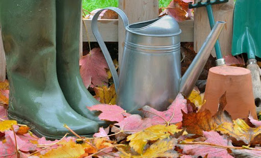 Листопад: підготовка саду та городу до зими - GradinaMax Листопад: підготовка саду та городу до зими