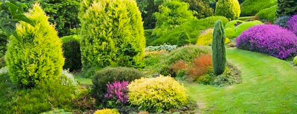 Як правильно спланувати ділянку і створити сад своєї мрії - GradinaMax Як правильно спланувати ділянку і створити сад своєї мрії