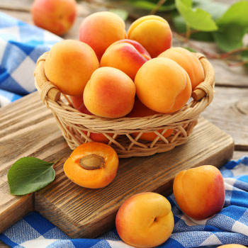Абрикос