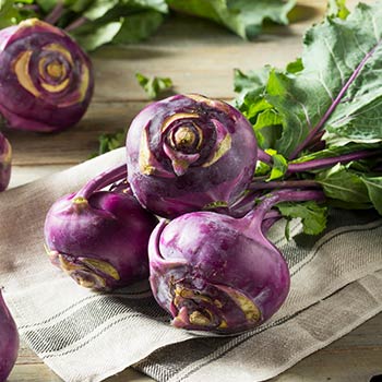 Капуста кольрабі