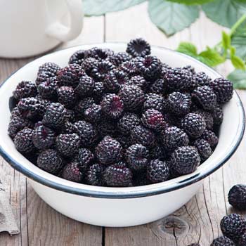 Малина чорна