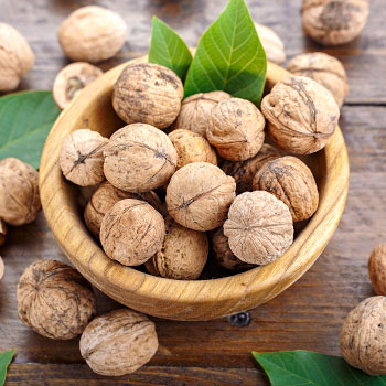 Горіх грецький