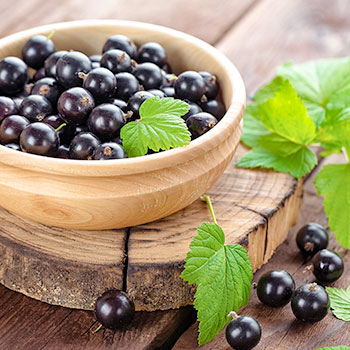 Смородина чорна