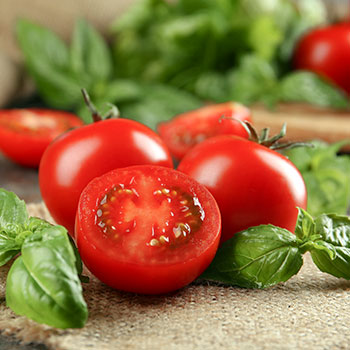 Помідор детермінантний (низькорослий)