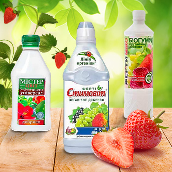 Добрива для полуниці і суниці