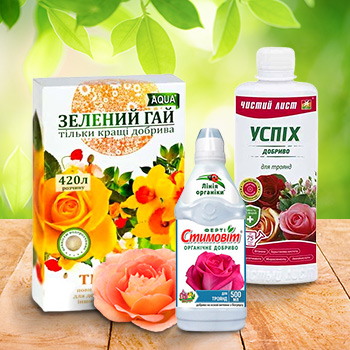 Добрива для троянд