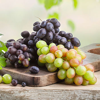 Виноград столовый