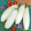 Баклажан Найніжніший F1, насіння зображення 2 артикул 65323