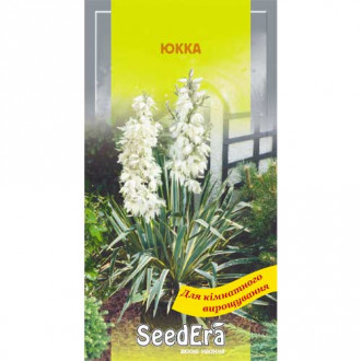 Юка Seedera, насіння зображення 1