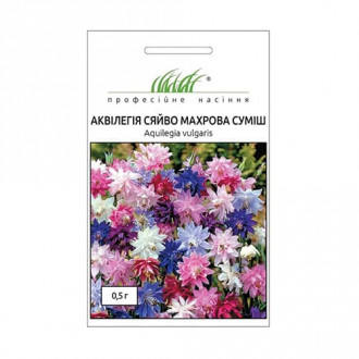 Аквілегія Сяйво, суміш забарвлень Професійне насіння зображення 2