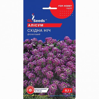 Алісум Східна ніч GL Seeds зображення 6