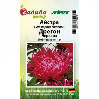 Астра Дрегон красная Садыба центр рисунок 2