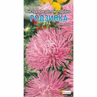 Айстра хризантемоподібна Родзинка зображення 6