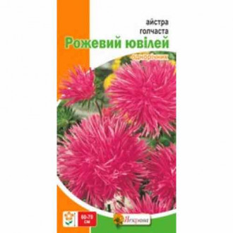 Айстра голчаста Рожевий ювілей зображення 2