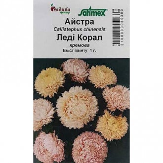 Айстра Леді Корал кремова Садиба центр зображення 4