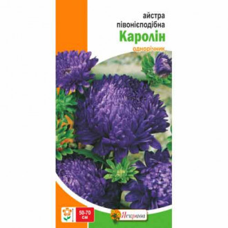 Астра пионовидная Каролин синяя Яскрава рисунок 6