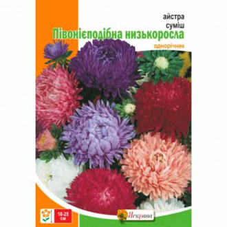 Астра пионовидная низкорослая, смесь окрасок Яскрава рисунок 1