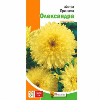 Астра принцесса Александра желтая Яскрава рисунок 5