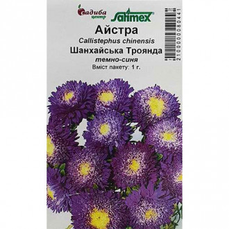 Астра Шанхайская Роза синяя Садыба центр рисунок 5