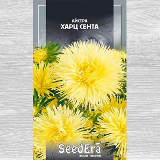 Айстра Харц Сента Seedera зображення 3