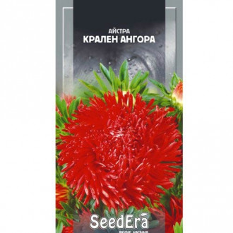 Астра Краллен ангора Seedera рисунок 4