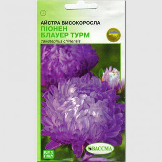 Айстра Піонен Блауер Турм Seedera зображення 6