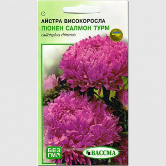 Айстра Піонен Салмон Турм Seedera зображення 4