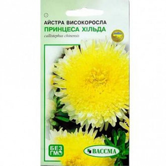 Айстра Принцеса Хільда Seedera зображення 5