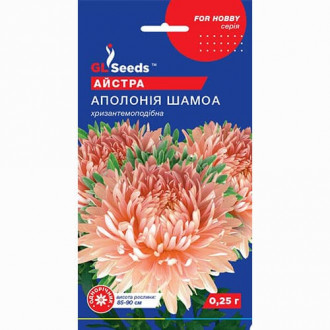 Айстра Аполонія Шамоа GL Seeds зображення 6