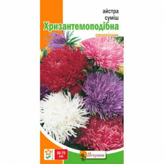 Астра хризантемообразная, смесь окрасок Яскрава рисунок 4