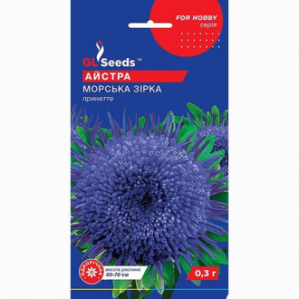 Айстра Морська зірка GL Seeds зображення 4