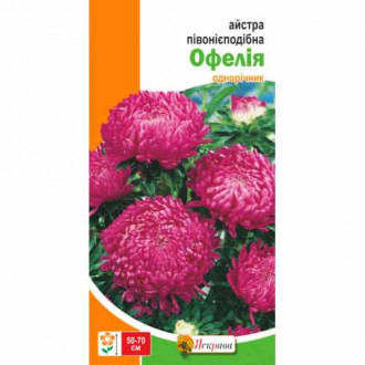 Астра пионовидная Офелия красная Яскрава рисунок 3