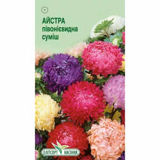 Айстра Піоновидна, суміш забарвлень Елітсорт зображення 6