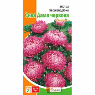 Айстра півонієподібна Сива Дама червона Яскрава зображення 3