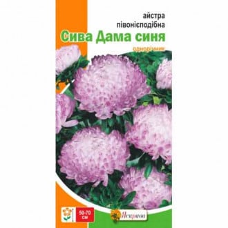 Айстра півонієподібна Сива Дама синя Яскрава зображення 4