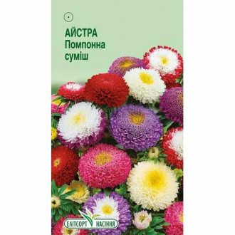 Айстра Помпонна, суміш забарвлень Елітсорт зображення 1